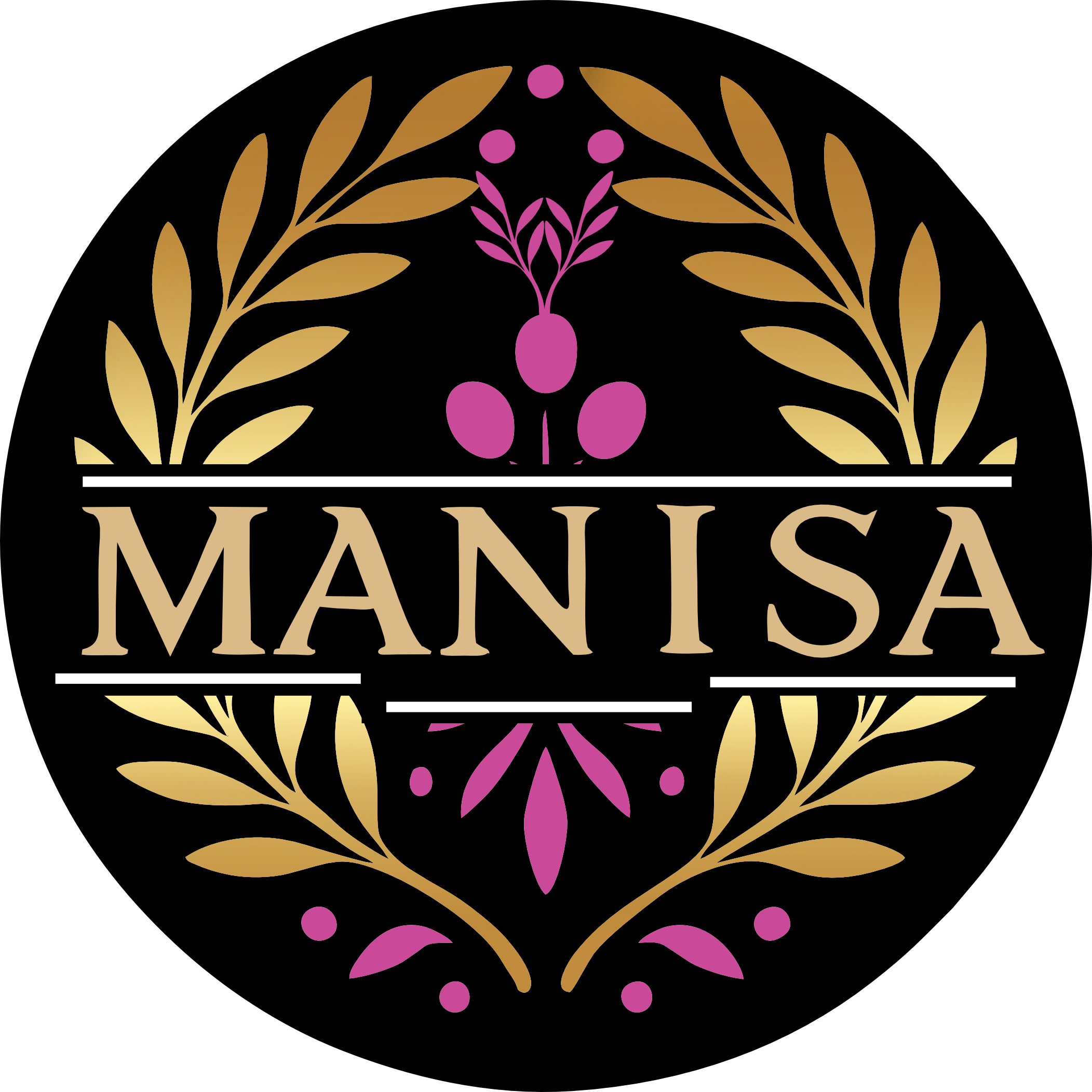 گالری مانیسا